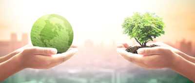 JP Morgan sustainable fund