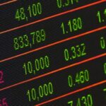 Australian companies tapping into global investment themes have grown faster than those focused on domestic needs, creating dispersion in the market.